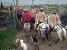 Ecuador-Highlands Riding Tours-Cotopaxi Cattle & Horse Round Up in Ecuador